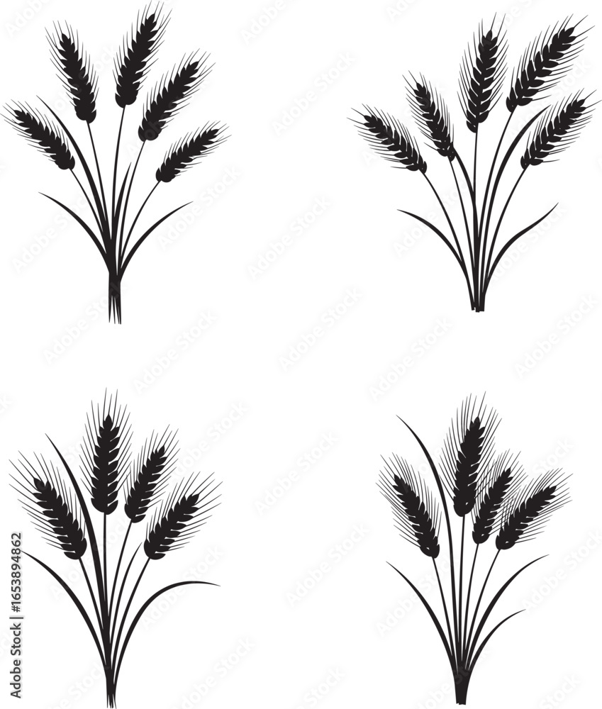 Fototapeta premium Four Wheat Stalks Silhouette Set Illustration