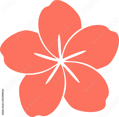 Stylized Tropical Frangipani Blossom Vector. Graphic illustration of a tropical frangipani flower with a star-like white center.