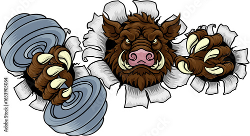 A wild boar, hog razorback warthog pig weight lifting trainer, exercise or body building gym cartoon sports mascot holding weights dumbbell
