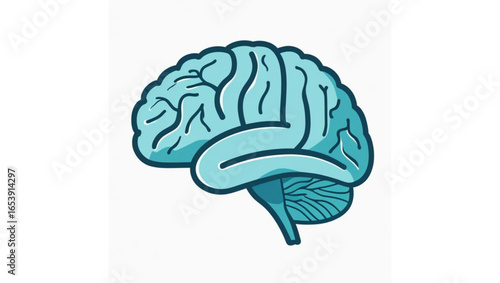 Hand-Drawn Human Brain