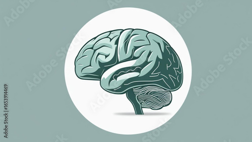 Hand-Drawn Human Brain