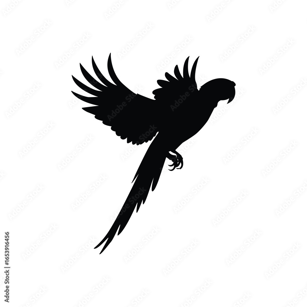 Fototapeta premium Macaw with Open Wings Silhouette – Exotic Bird Vector Illustration