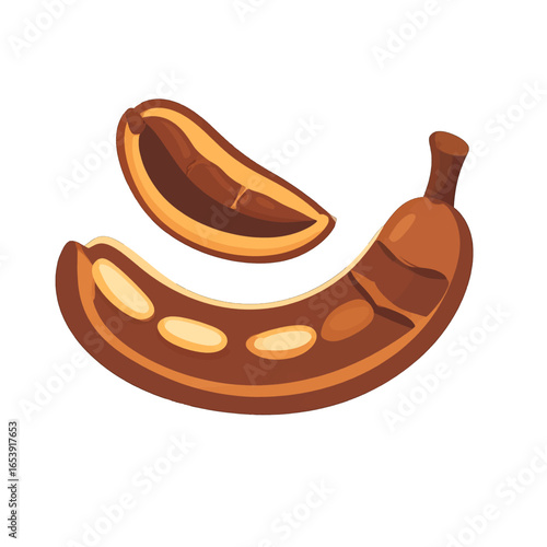 Illustration of Ripe Brown Tamarind Fruit with Seed Isolated on White Background