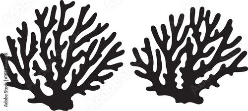 Two branching coral silhouettes against a white background