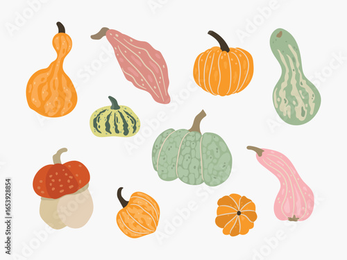 Collection of Colorful Gourds and Pumpkins Illustration. White background, isolate