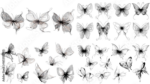 Elegant transparent butterfly ink illustrations with fine line details. Ideal for fashion prints, tattoo concepts, and modern decorative design.