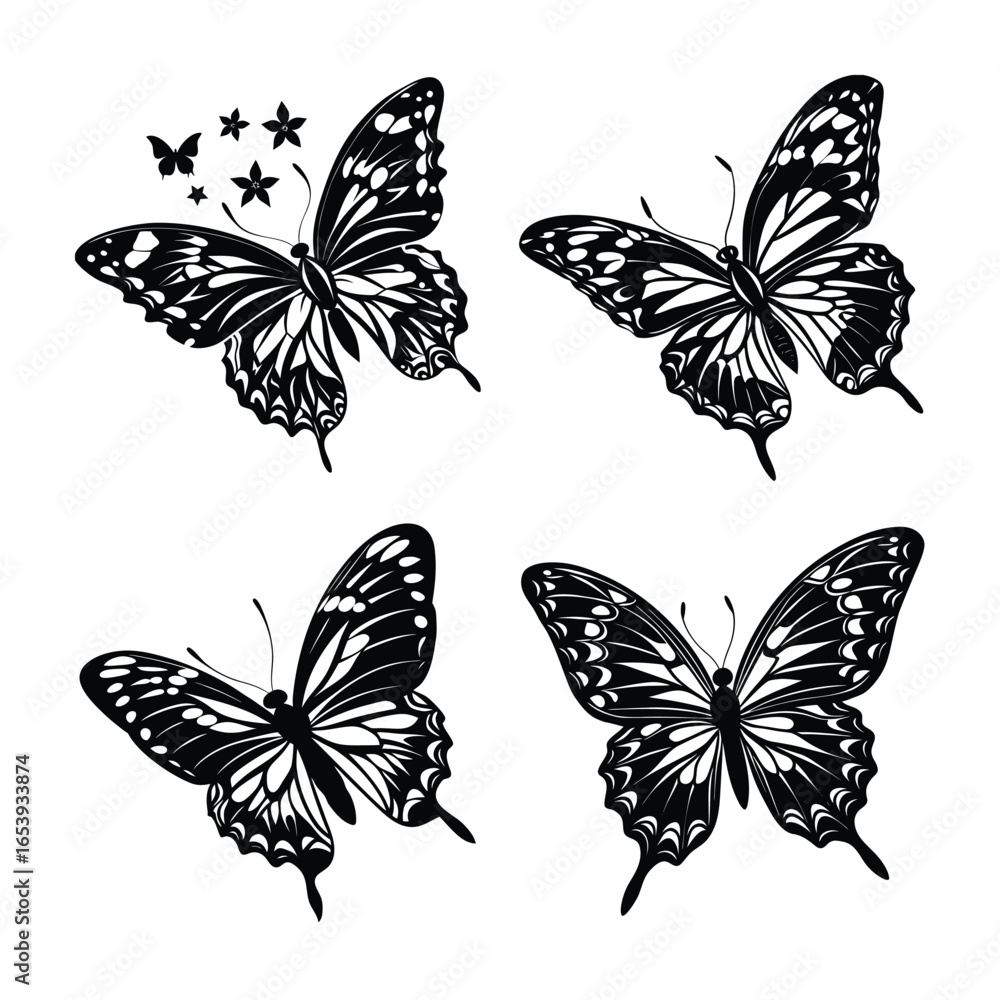 Obraz premium Beautiful Butterfly