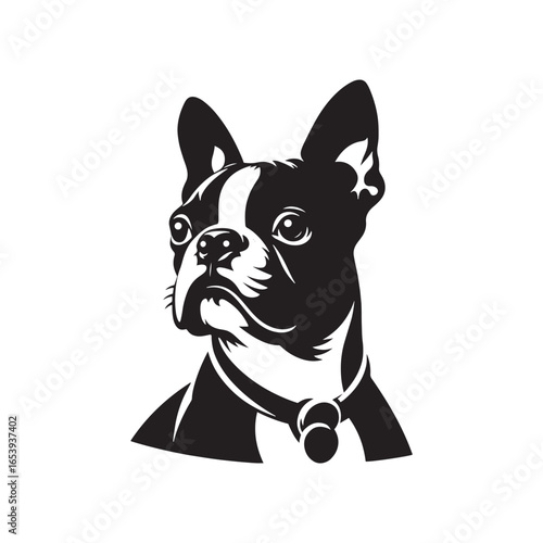 Boston Terrier Dog Vector Silhouette – Distinctive Small Breed Outline Design, Perfect for Pet Lovers, Canine Art, Logos, Prints, Home Decor, Illustrations, and Graphic Projects
