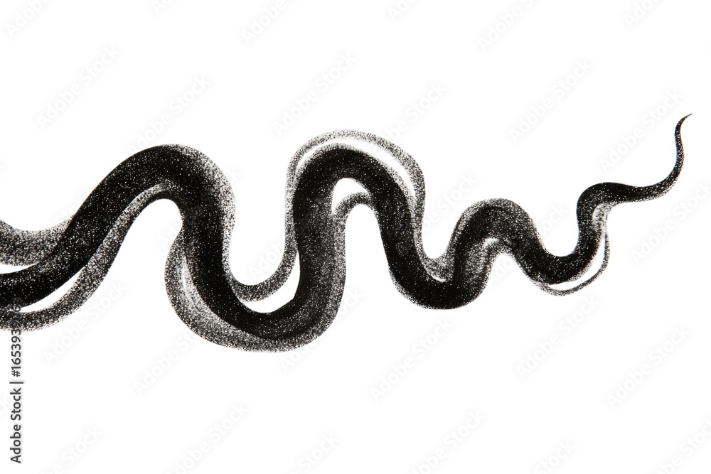 Obraz premium Black Pastel Squiggle Design Element Isolated on Transparent Background