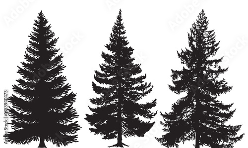 Three Coniferous Pine Tree Silhouettes, a versatile collection of three detailed coniferous pine tree silhouettes for nature, forestry, and outdoor-themed designs.