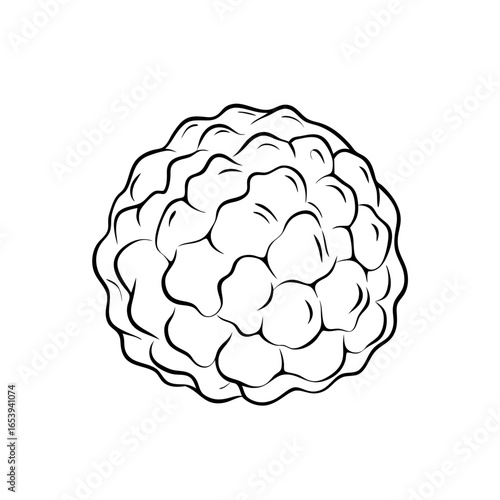 Vegetables and greens truffle icon transparent background