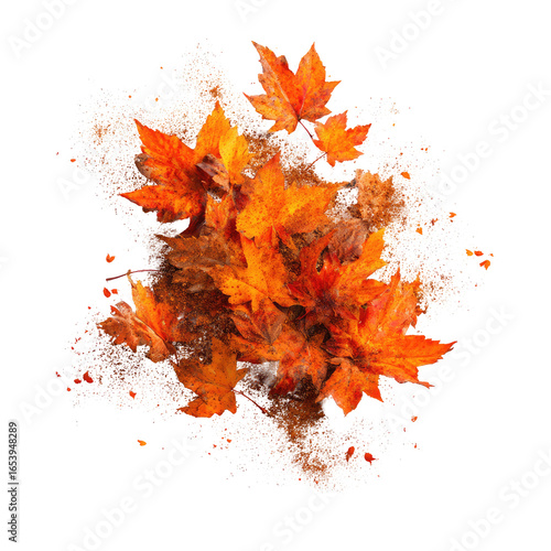 Overhead view of vibrant autumn foliage in a pile on ground