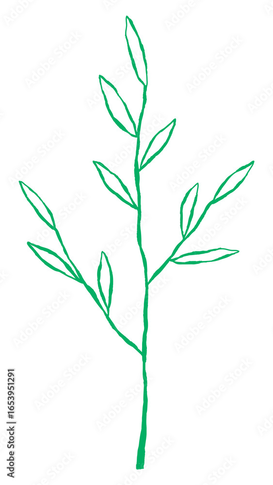 Obraz premium Leaf png cute green doodle illustration with branch