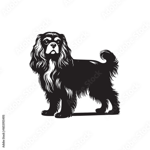 Cavalier King Charles Spaniel Vector Silhouette – Elegant Toy Breed Outline, Perfect for Dog Lovers, Pet Art, Logos, Prints, Graphic Design, Illustrations, Home Decor, and Creative Projects
