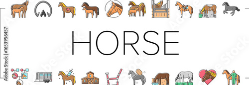 horse breeding equestrian icons set vector