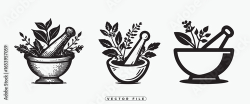 Three mortars with herbs and pestles in a classic illustration style
