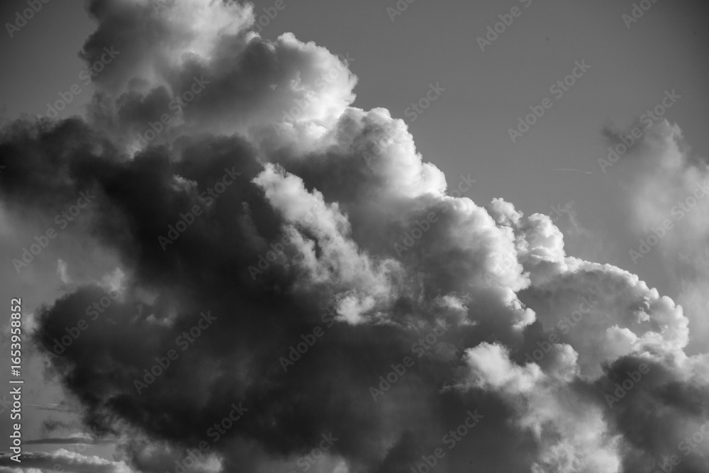 Obraz premium 奄美大島の夏の朝の海と夏雲。