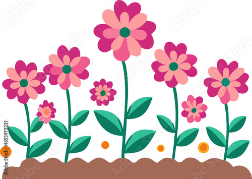 Vibrant flower bed with blooming flowers on white background