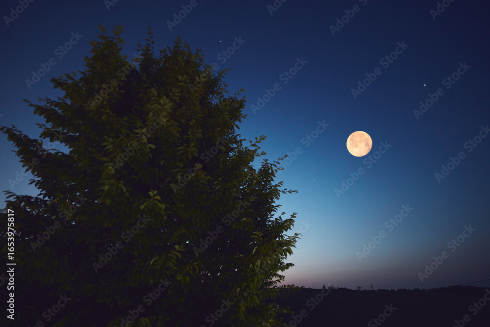 Fototapeta premium Full Moon with stars, planets and rural countryside tree silhouettes.