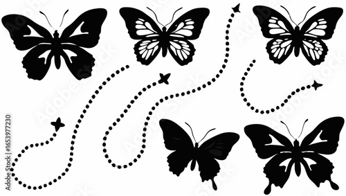 Black and white butterflies with dotted flight paths creating an artistic composition on a white background silhouette