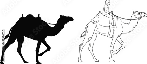Camel silhouette desert animal outline drawing illustration