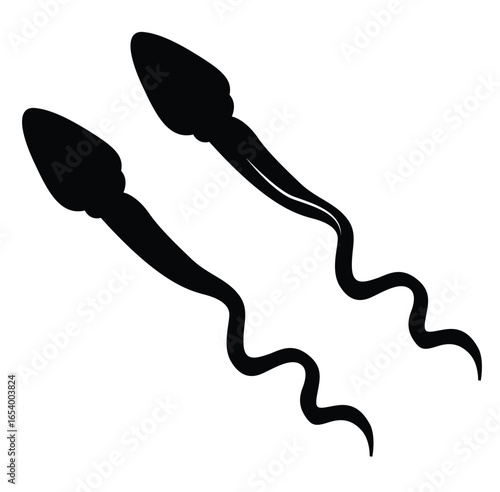 science of hand drawn vector Sperm, Spermatozoa silhouette.
