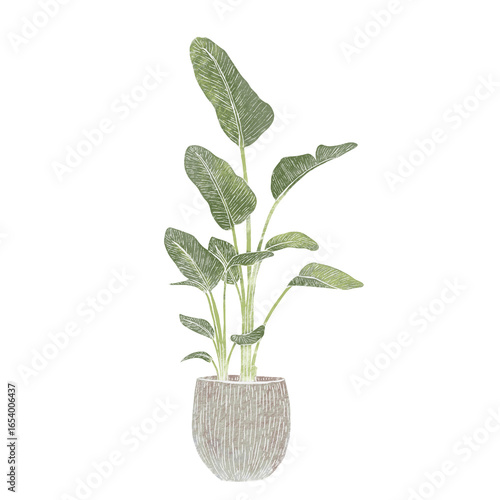 Tall Tropical Plant in Pot – Hand-Drawn Botanical Linocut Illustration