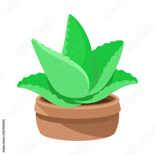 Illustration of aloe vera plant in a pot. Aloe vera is widely used in skincare and health products. Ideal for aloe vera-themed organic and decorative designs
