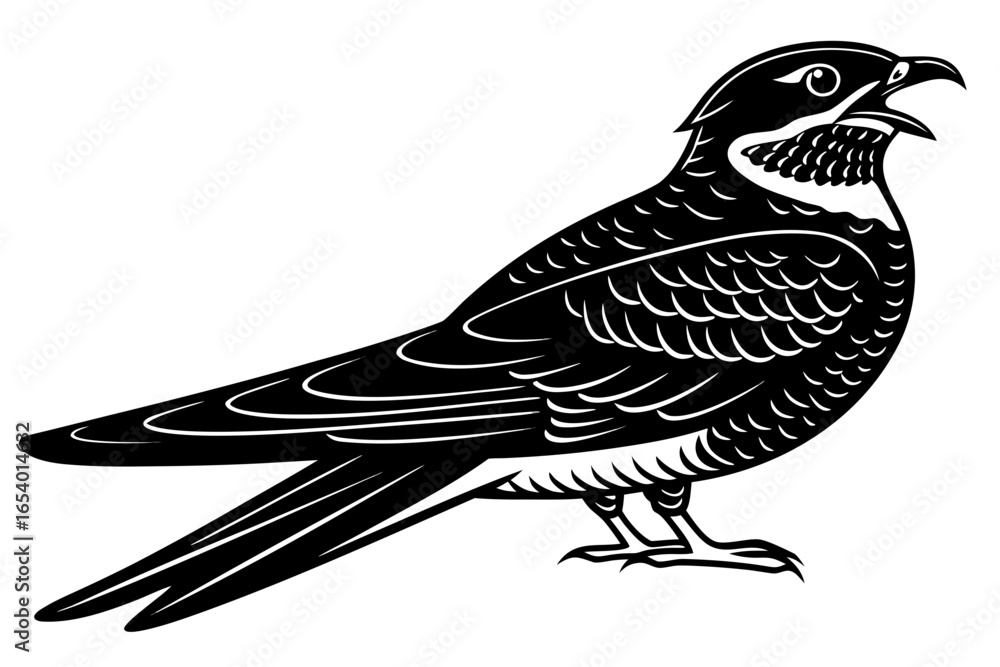 Naklejka premium Isolated on white background, a nightjar bird with open beak illustration
