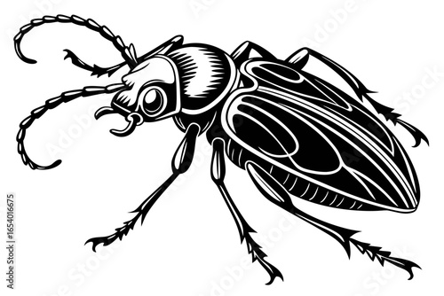 Detailed beetle illustration isolated on white background, perfect for design