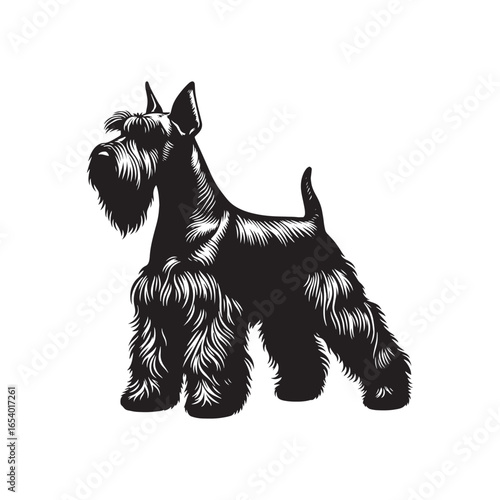 Elegant Miniature Schnauzer vector silhouette showcasing distinctive beard, wiry coat, and compact stance, perfect for pet lovers, dog breed art, design, prints, and creative projects.
