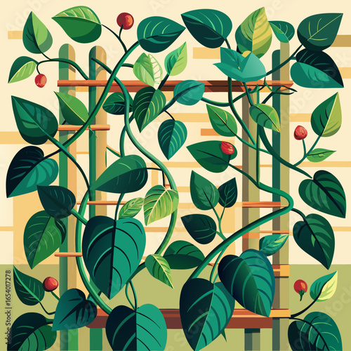 Vibrant green leaves and red berries climbing a trellis isolated on white background