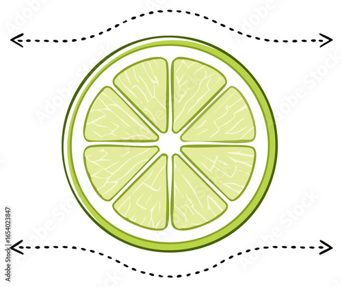 Hand drawn lime slice graphic with directional dotted arrows