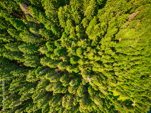 drone image. aerial view of rural area with fields and forest lake. sunny day in Bulgaria,Dospat