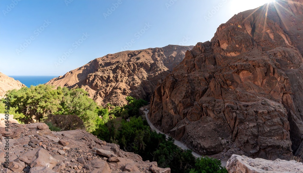 Fototapeta premium Rocky canyon valley with trees