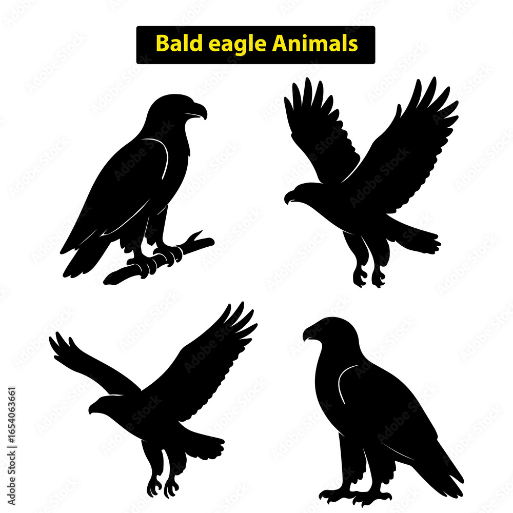 Fototapeta premium Bald Eagle Wildlife Illustration