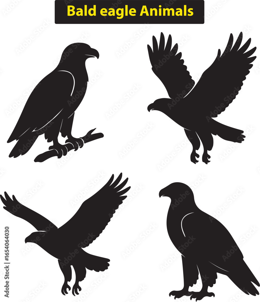 Obraz premium Bald Eagle Wildlife Illustration