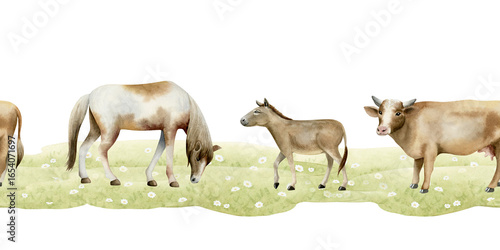 Farm pasture with horses, cows and donkeys on green field watercolor seamless border isolated on white. Hand drawn grazing animals clip art. Horizontal countryside landscapes for tourist designs