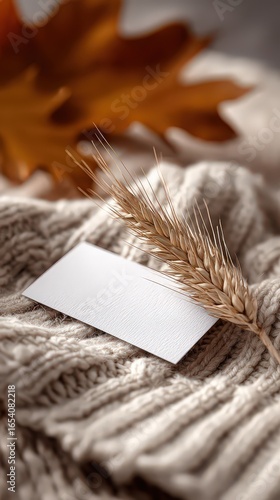 Blank Card With Wheat Ear On Knitted Sweater
