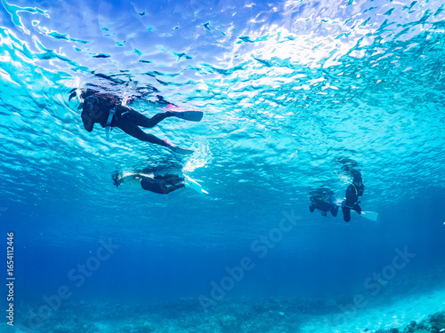 Wallpaper Mural 素晴らしいサンゴ礁の美しいデバスズメダイ、ミスジリュウキュウスズメダイ（スズメダイ科）他の群れ。
英名学名：Blue green damselfish, Blue green chromis (Chromis viridis), Whitetail dascyllus, Dascyllus aruanus
水面にはスキンダイバーもいる。
美しいサンゴ礁と熱帯魚の群れ。
沖縄県島尻郡慶良間諸島座間味 Torontodigital.ca