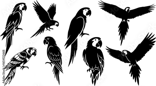 a group of black parrot silhouettes, different styles, on white background
