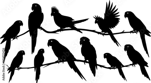 a group of black parrot silhouettes, different styles, on white background