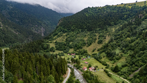 Aerial view of Firtina Creek flowing through lush green valley in Camlihemin, Rize, Turkiye, Black Sea region
