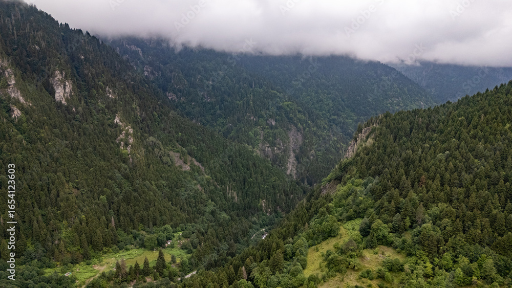 Fototapeta premium Fog rolling over the green valley of Camlihemin in Rize, Turkiye, Black Sea Region