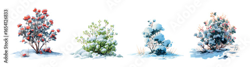 Set of watercolor bushes covered with snow. Bushes with green leaves, covered with a mountain of snow for years. Snow-covered bushes. Winter elements of the park, forest, street, etc. 