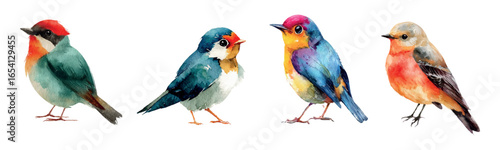 Watercolor birds collection. Colorful birds painted in watercolor. Forest and city birds. Elements of nature characters of parks, forests, cities, etc. Vector illustration