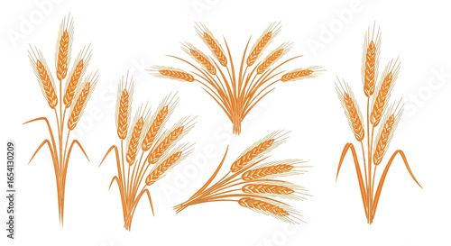 Golden Wheat Stalks A Harvest of Natural Beauty and Agricultural Abundance