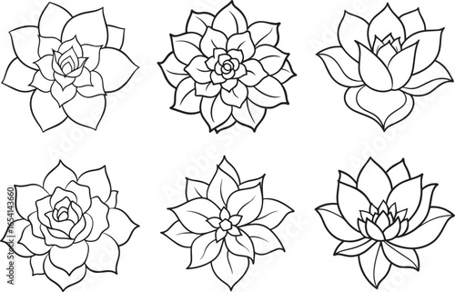 set of flower outline vector illustration line art