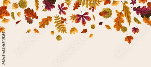 Fall leaf border. Autumn foliage, tree leaves decoration, banner background. Decorative botanical design with flying leafage, seasonal forest decor, pattern, backdrop. Flat vector illustration
