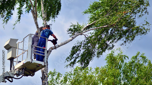 Φωτογραφία Woodcutter working on heights on a lift